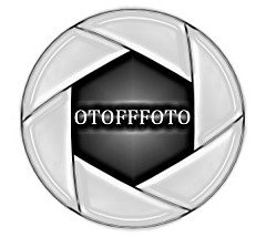 Евгений Евгенов