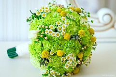 Дарья Куликова