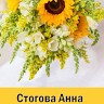 Стогова Анна