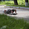 Павел Микрюков