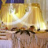 Камелия