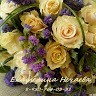 Екатерина Нечаева