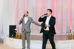 Гацкий и Виноградский
