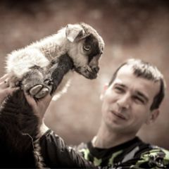 Алексей Цыганко