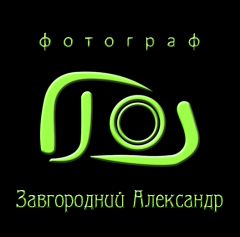 Александр Завгородний