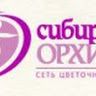 Цветочный Салон Сибирская орхидея