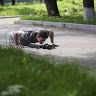 Павел Микрюков
