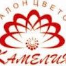 Салон цветов Камелия